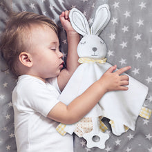 Lade das Bild in den Galerie-Viewer, Baby Stuffed Animal Sleeping Toy - Multiple Colors
